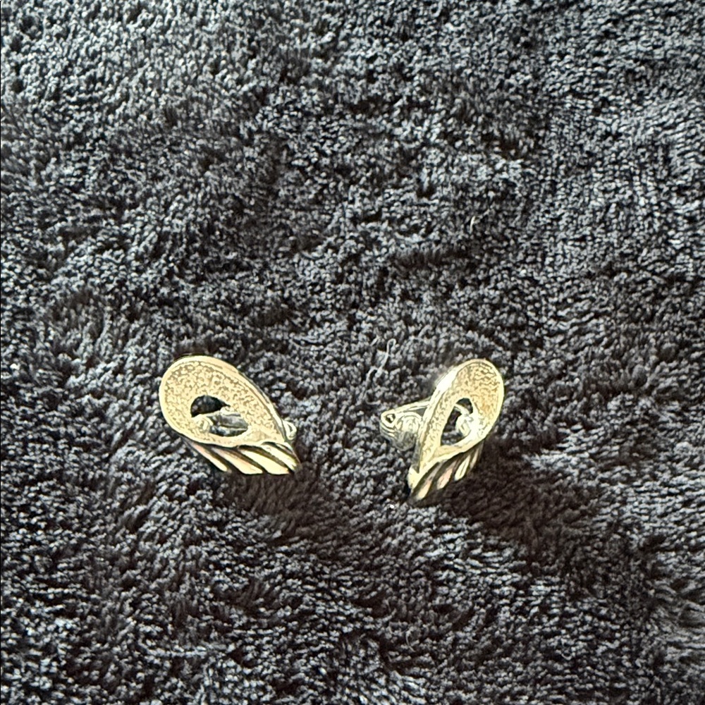 Silver Wing Earrings